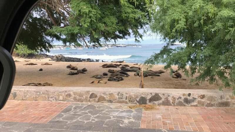 Hostal Albatros San Cristóbal Εξωτερικό φωτογραφία